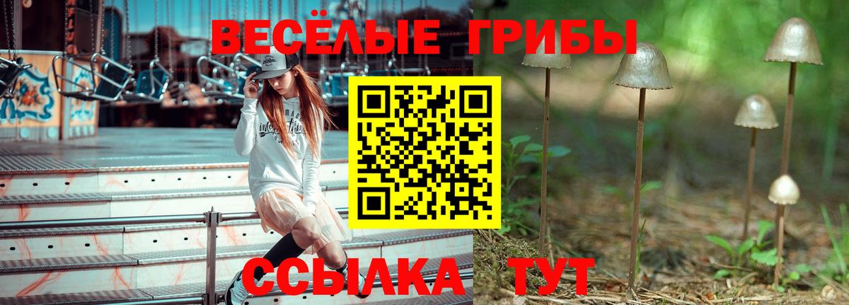 Шадринск  Псилоцибиновые грибы прущие грибы  Вход с VPN 